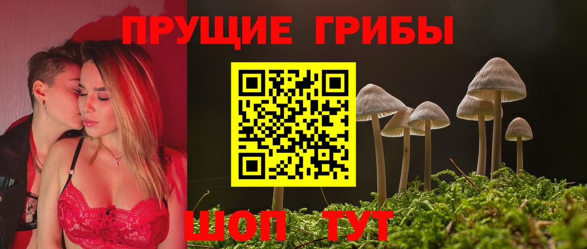 Псилоцибиновые грибы Magic Shrooms  Вход с VPN  цена наркотик  Моздок  Псилоцибиновые грибы MAGIC MUSHROOMS 
